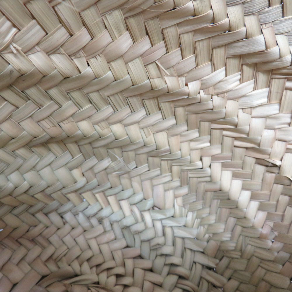 Loewe Medium Tan Palm Natural Bag Leaf Raffia Calfskin Basket - Picture 7 of 16